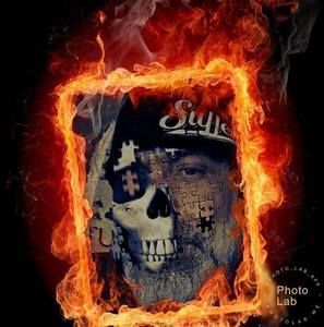 Meet your Posher, Beau